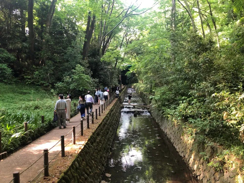 Walking trail at Todoroki Valley in Todoroki, Tokyo