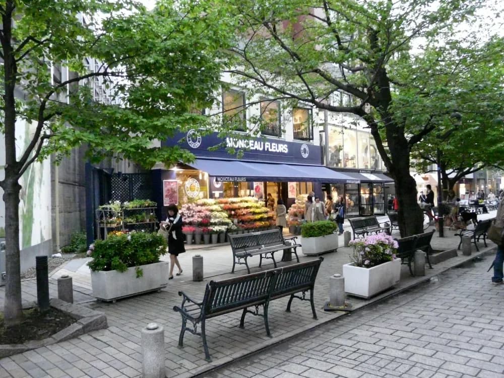 Streets of Jiyugaoka in Tokyo