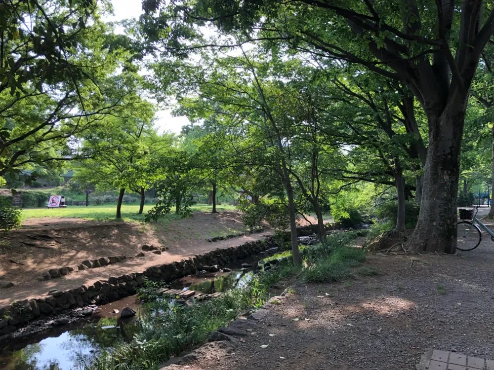 Inokashira Park in Kichijoji, Tokyo