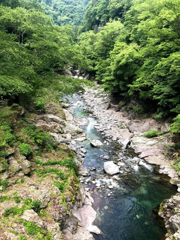 River stream at the base of the Mitsumine Shrine hiking route
