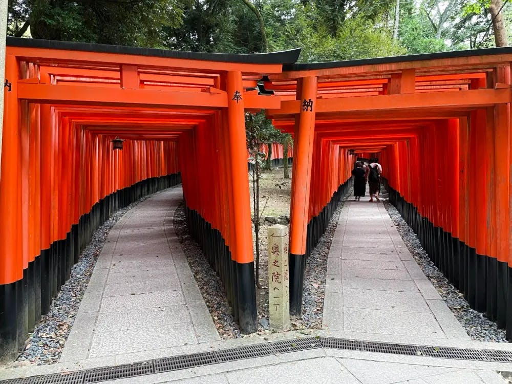 Rows of torii gates at Fushimi Inari Shrine in Kyoto, Kyoto Prefecture