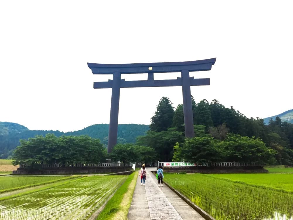 Kumano Ootorii over rice paddies in Kumano, Wakayama Prefecture