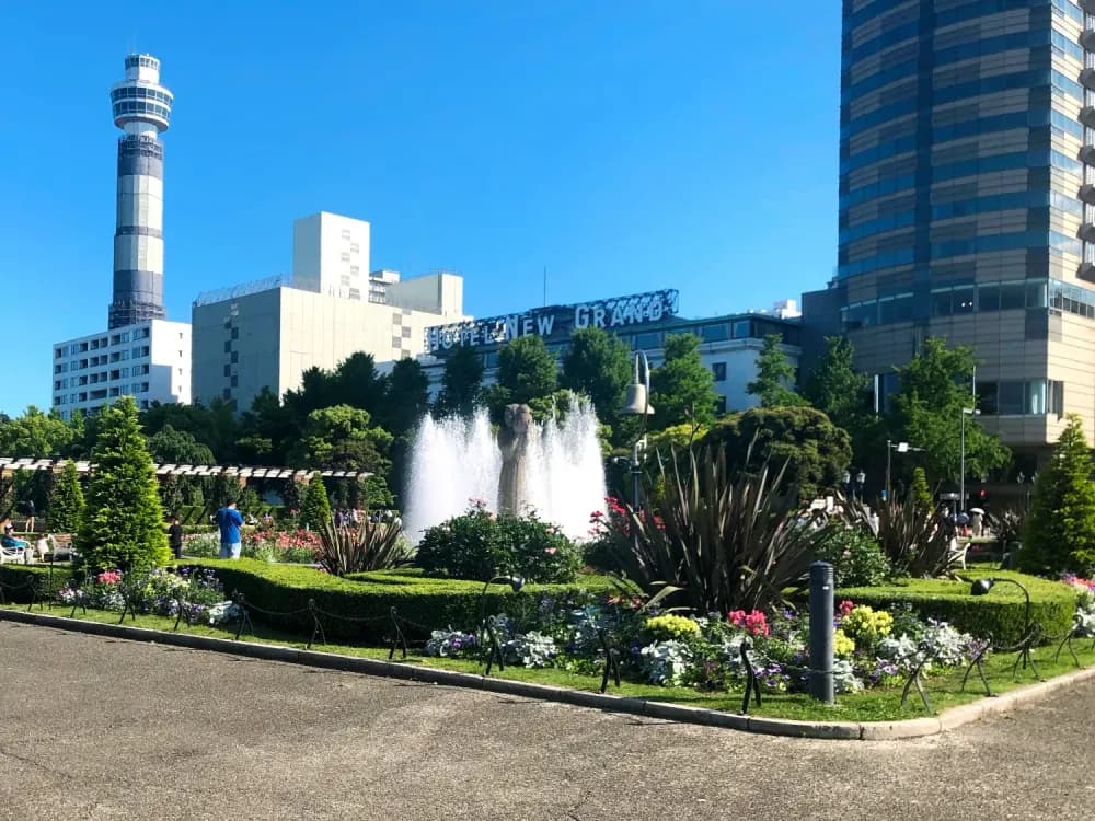 Rose garden at Yamashita Park in Yokohama, Kanagawa Prefecture