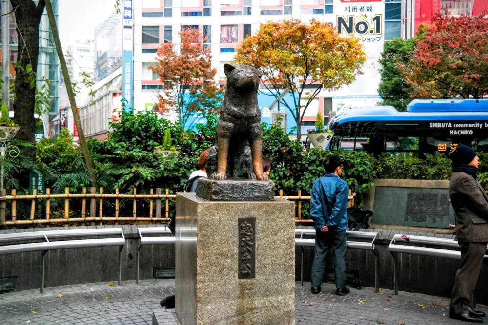 Hachiko Statue outside Shibuya Station in Shibuya, Tokyo