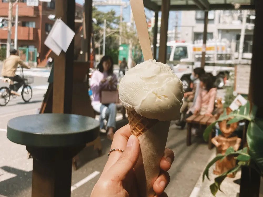 Ice Cream from Hilo Homemade Ice Cream in Shonan, Kanagawa Prefecture