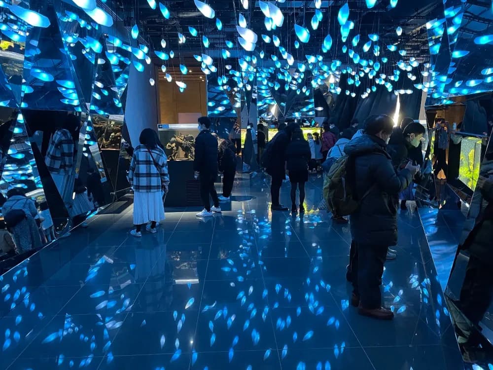 Exhibit inside atoa in Kobe, Hyogo Prefecture