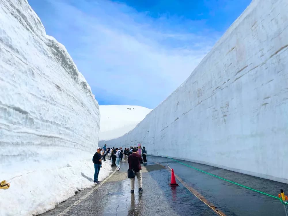 Yuki no Otani Snow Wall Walk