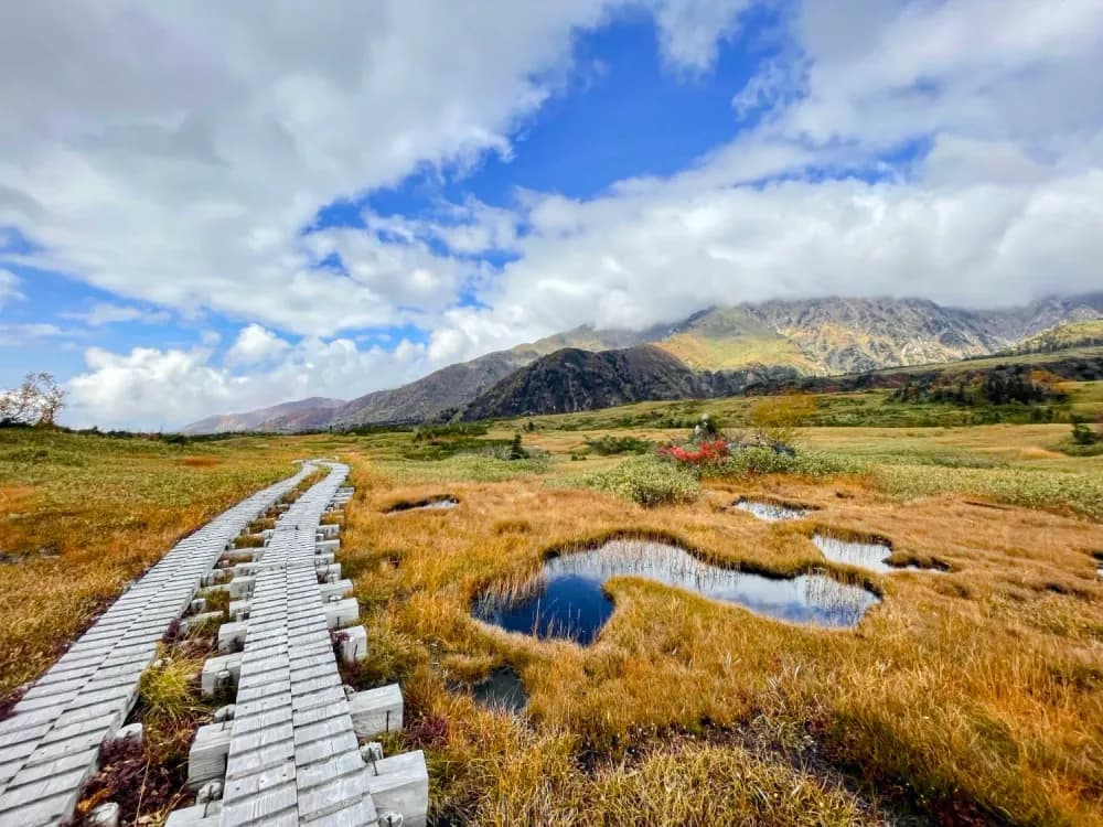 Boardwalk in Midagahara Wetlands