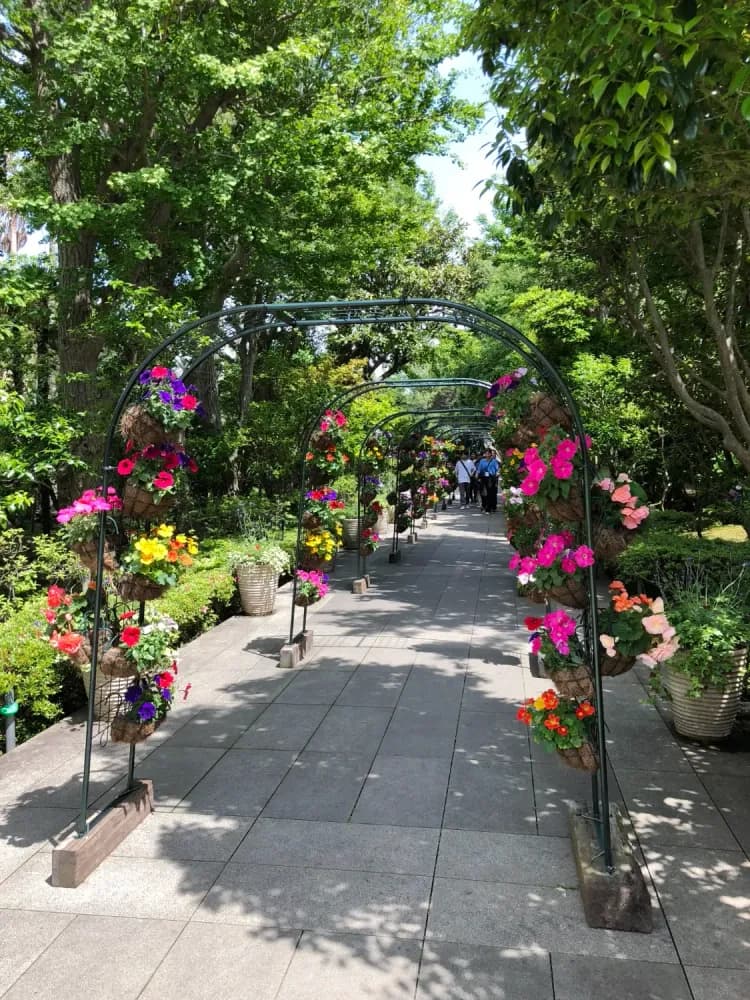 Flower arch at Samuel Cocking Garden in Enoshima, Kanagawa Prefecture
