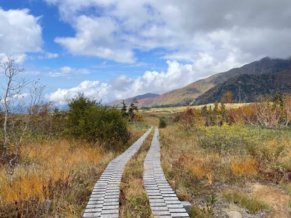 Boardwalk in Midagahara Wetlands
